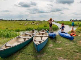 kano's en kayaks Lauwersmeer Friesland