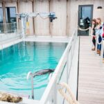 Zeehondencentrum WEC