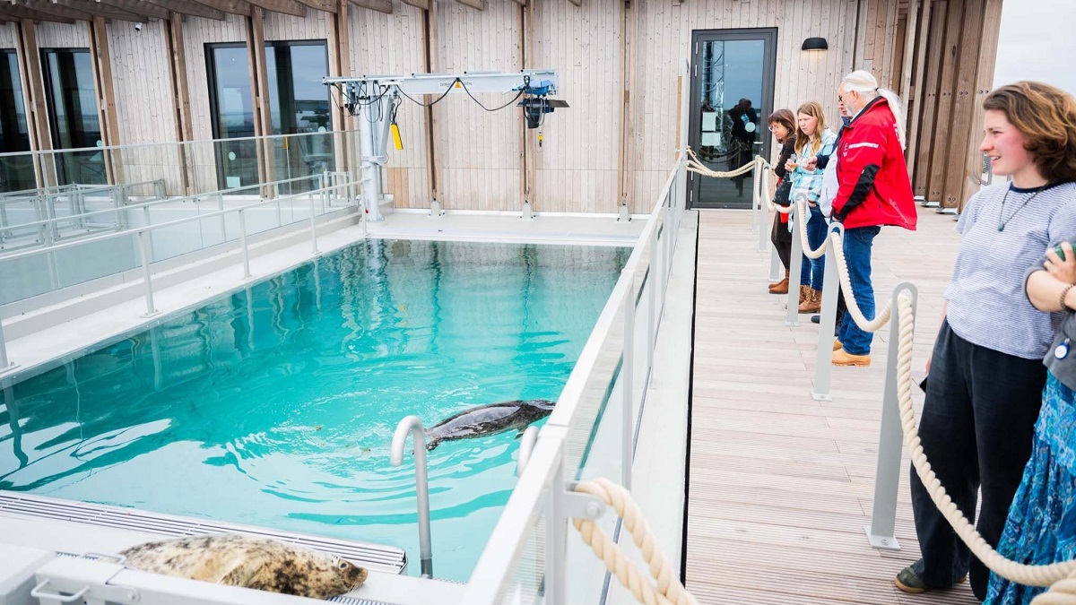 Zeehondencentrum WEC